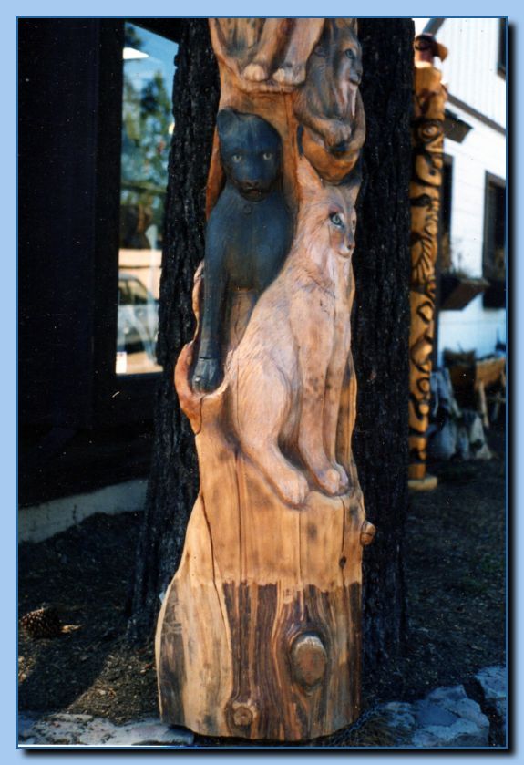 2-13 vertical cat collage-archive-0006